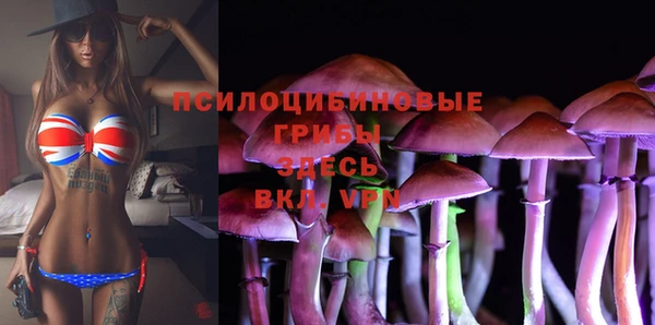 таблы Алексеевка