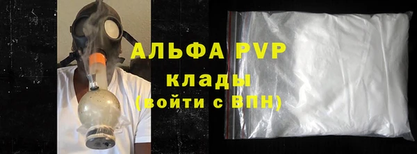 хмурый Абаза