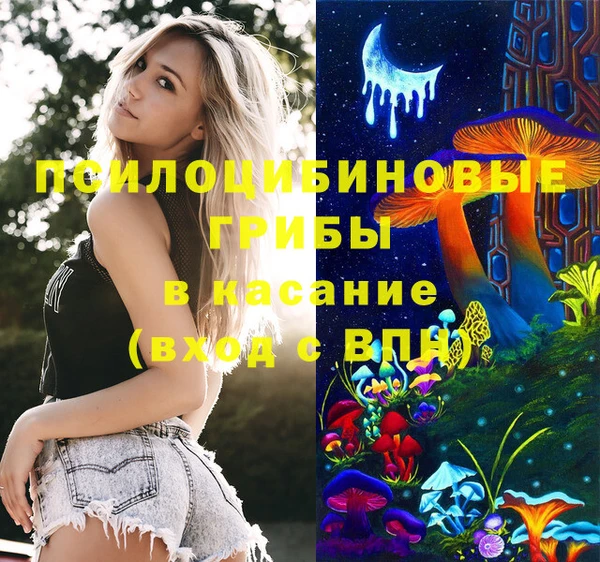 твердый Алзамай